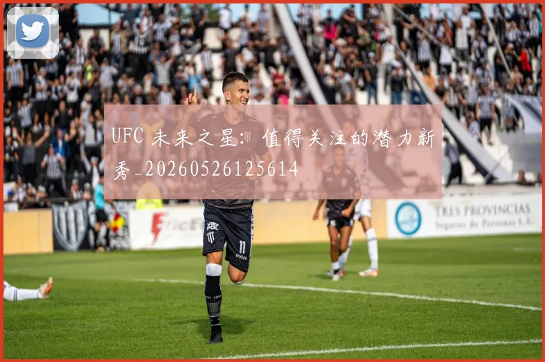 UFC 未来之星:值得关注的潜力新秀_20260526125614