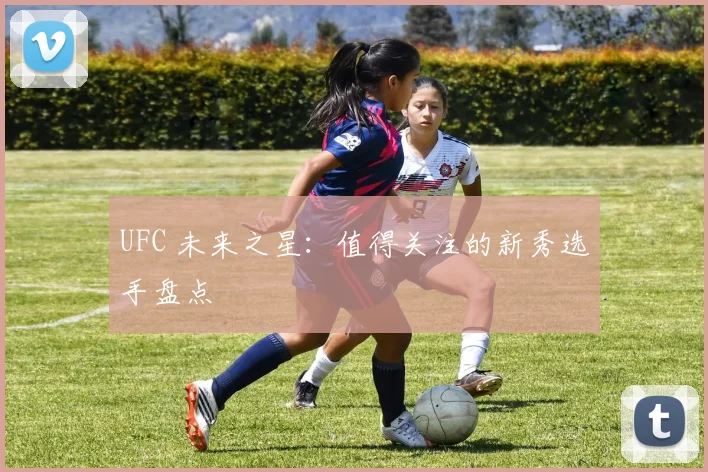 UFC 未来之星:值得关注的新秀选手盘点