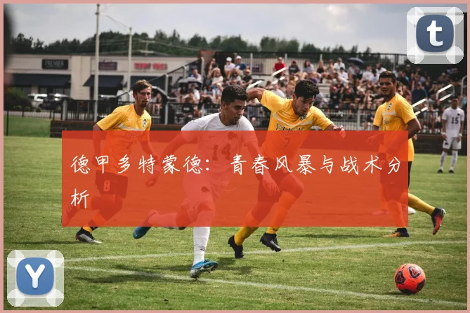 德甲多特蒙德:青春风暴与战术分析
