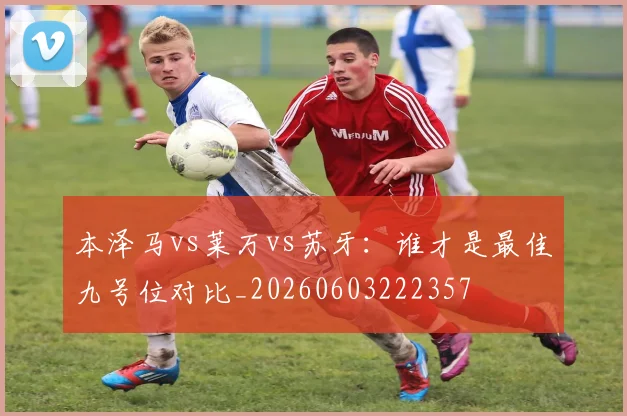 本泽马vs莱万vs苏牙:谁才是最佳九号位对比_20260603222357