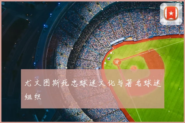 尤文图斯死忠球迷文化与著名球迷组织