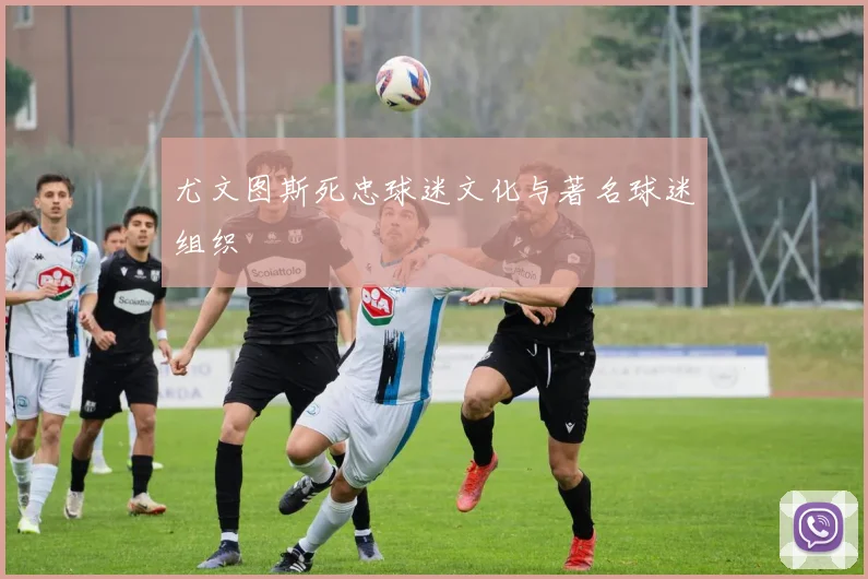 尤文图斯死忠球迷文化与著名球迷组织